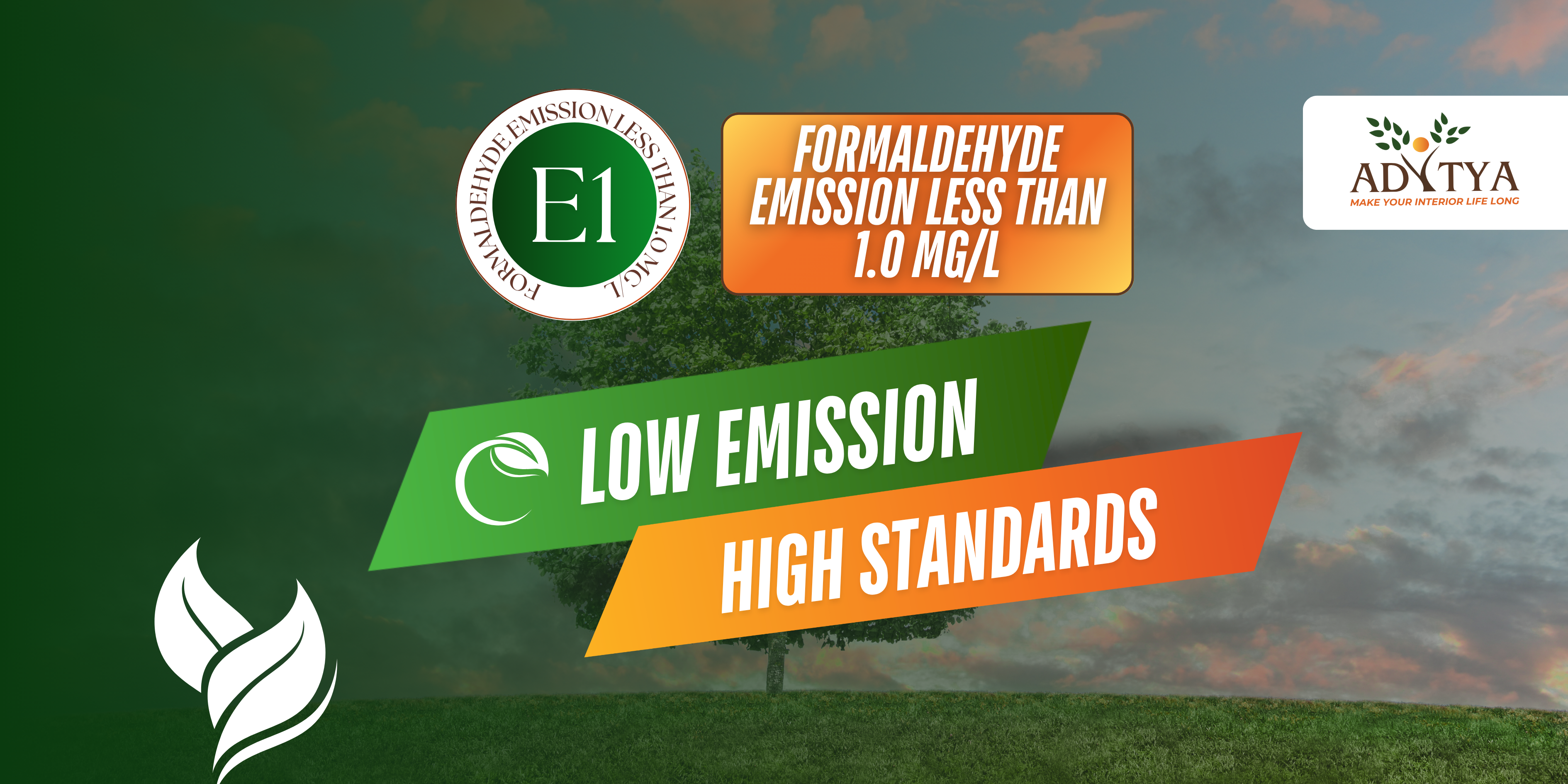 Plywood product showcase