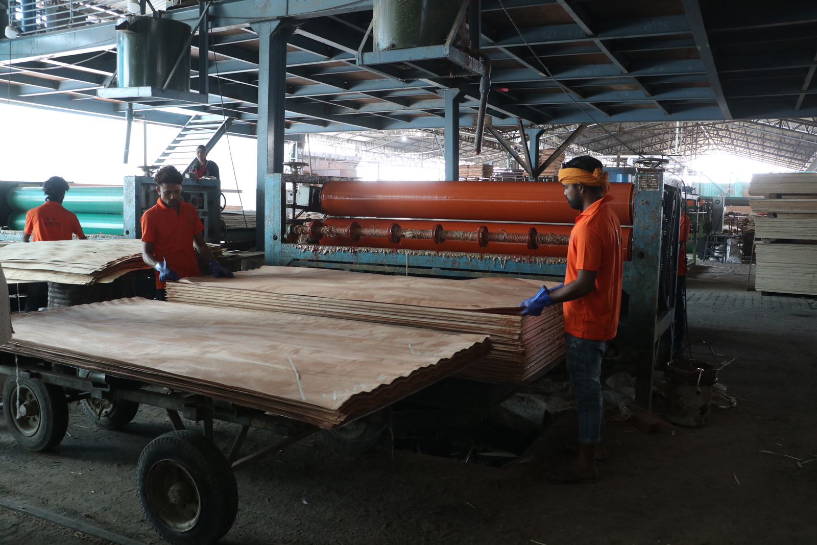 Plywood manufacturing