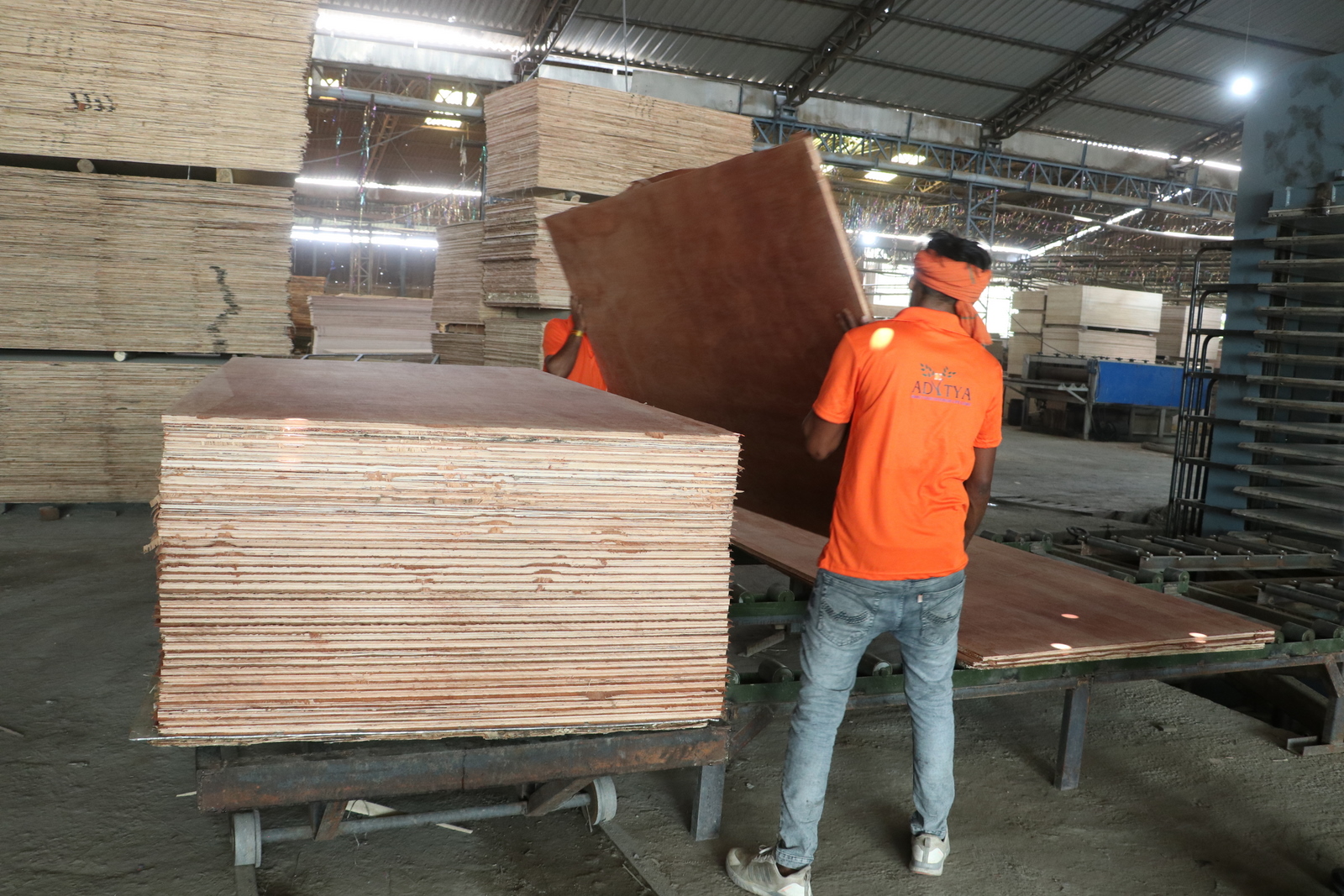 3D black lion head logo on a gray background