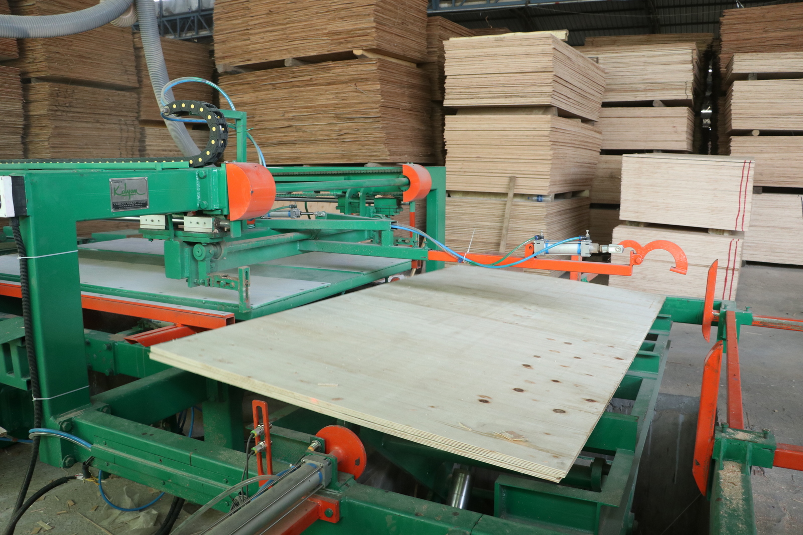 3D black lion head logo on a gray background